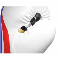 Bulls Professional Classic Boxing Gloves - PH Philippines Design Sports