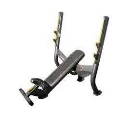 Cardio Machines/Equipment Element Fitness Olympic Incline Bench Gym Bench