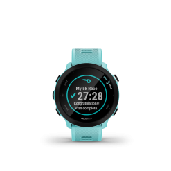 Garmin Forerunner 55 GPS Smartwatch