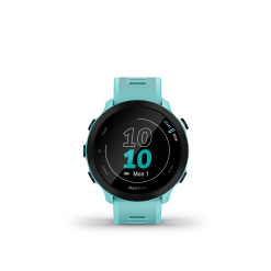Garmin Forerunner 55 GPS Smartwatch