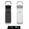 Tumblers & Food Jars Stanley IceFlow Flip Straw Water Bottle Vacuum Insulated Tumbler 17 Oz.-22 Oz.