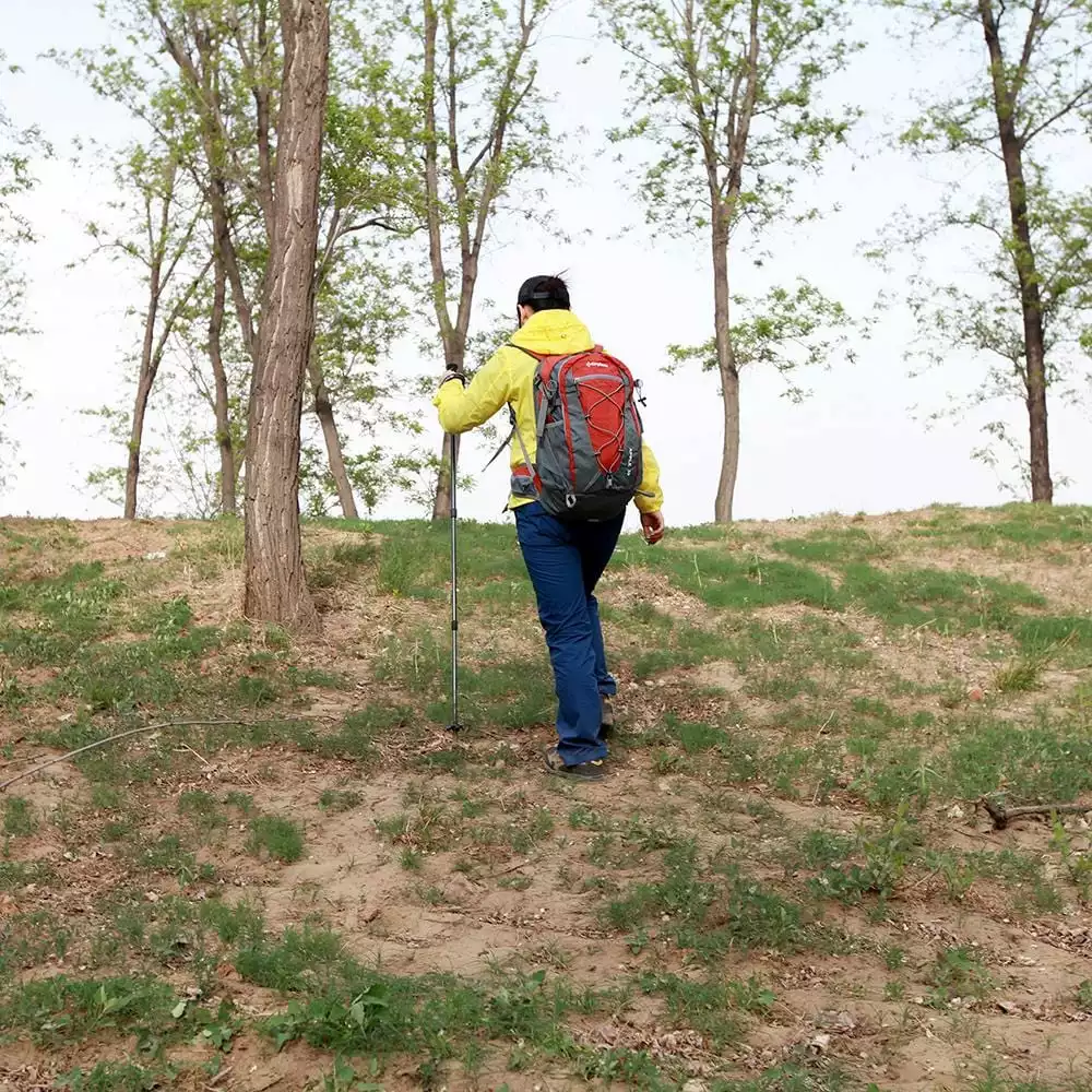 KingCamp Air Trekking Pole (Green) 10 KingCamp Air Trekking Pole (Green)