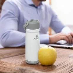 Tumblers & Food Jars Stanley IceFlow Flip Straw Water Bottle Vacuum Insulated Tumbler 17 Oz.-22 Oz. 19 Tumblers & Food Jars Stanley IceFlow Flip Straw Water Bottle Vacuum Insulated Tumbler 17 Oz.-22 Oz.