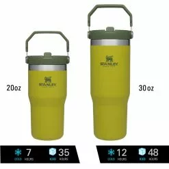 Stanley IceFlow Flip Straw Tumbler 20 Oz. - 30 Oz.