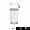 Stanley IceFlow Flip Straw Jug Tumbler 40 Oz.