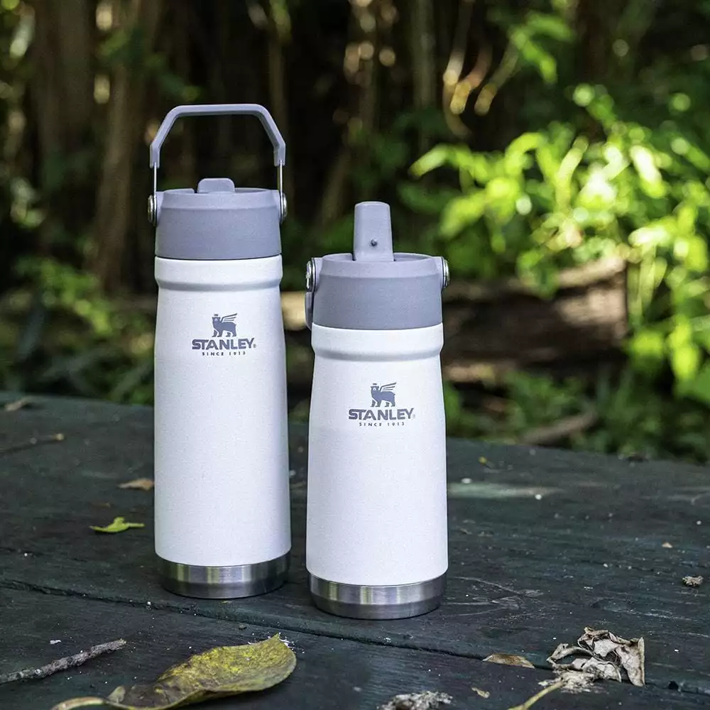 Tumblers & Food Jars Stanley IceFlow Flip Straw Water Bottle Vacuum Insulated Tumbler 17 Oz.-22 Oz. 12 Tumblers & Food Jars Stanley IceFlow Flip Straw Water Bottle Vacuum Insulated Tumbler 17 Oz.-22 Oz.